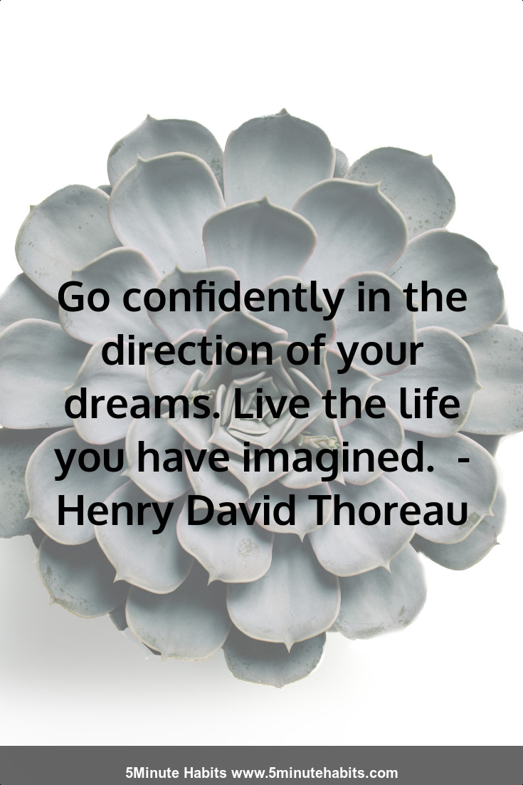 Go confidently in the direction of your dreams. Live the life you have imagined.  - Henry David Thoreau